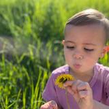 2nd Nature Academy (SNA) Photo - Nature's Pathways at 2nd Nature Academy early childhood program is built on an emergent curriculum, following the child's lead and interests.