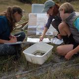 Headwaters Academy Photo - Water testing on the Gallatin River in Bozeman, MT.