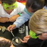 Hilldale School Photo - Hands-on Science is an important part of the Pre-K through Middle School curriculum.