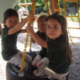 Honey Tree And Branches Academy Photo - Having fun swinging outside.